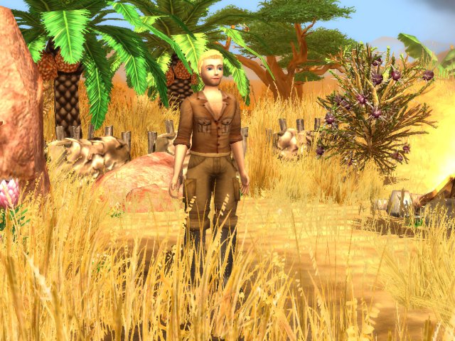 Wildlife Camp screenshot