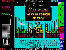 Wonder Boy in Monster Land (1987) screenshot