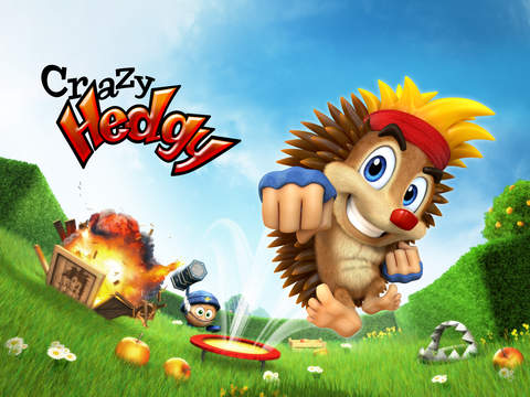 Crazy Hedgy - Beat ’em up 3D Platformer screenshot