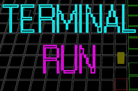 Terminal Run screenshot