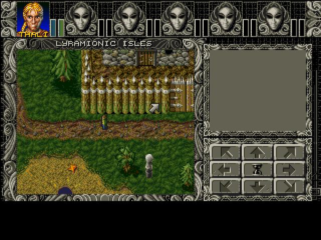 Ambermoon screenshot