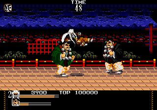 Mystical Fighter screenshot