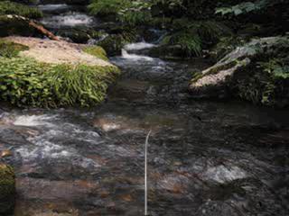 Reel Fishing (1996) screenshot