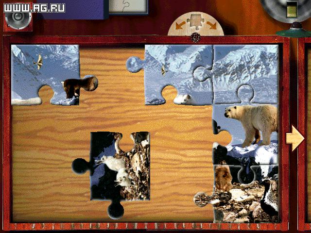 Digital Photo Puzzle screenshot