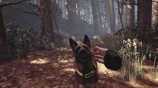 Blair Witch VR screenshot
