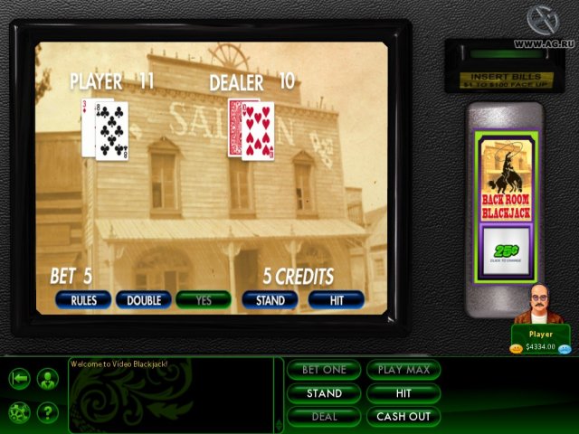 Hoyle Casino Games (2010) screenshot