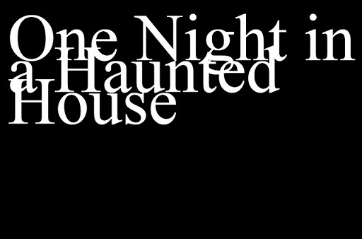 One Night in a Haunted House screenshot