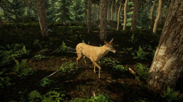 Animal Doctor screenshot