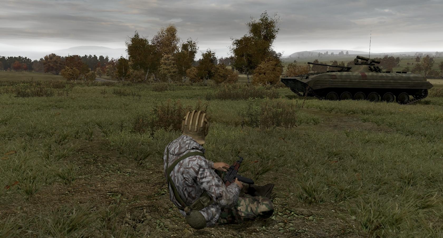 Arma 2: Тактика современной войны вся информация об игре, читы, дата  выхода, системные требования, купить игру Arma 2: Тактика современной войны