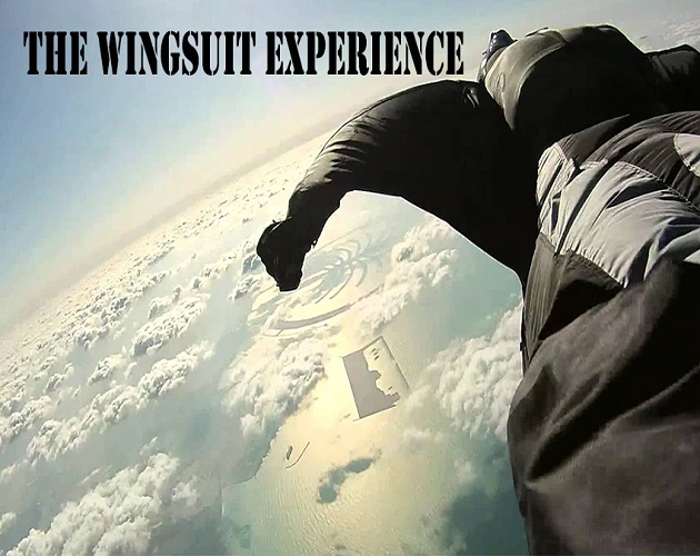 Wingsuit game.