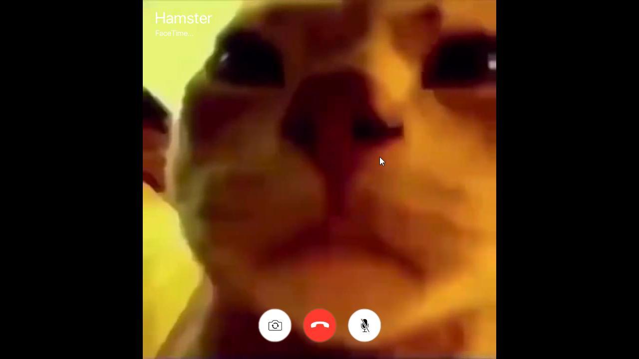 Random Facetime Chat