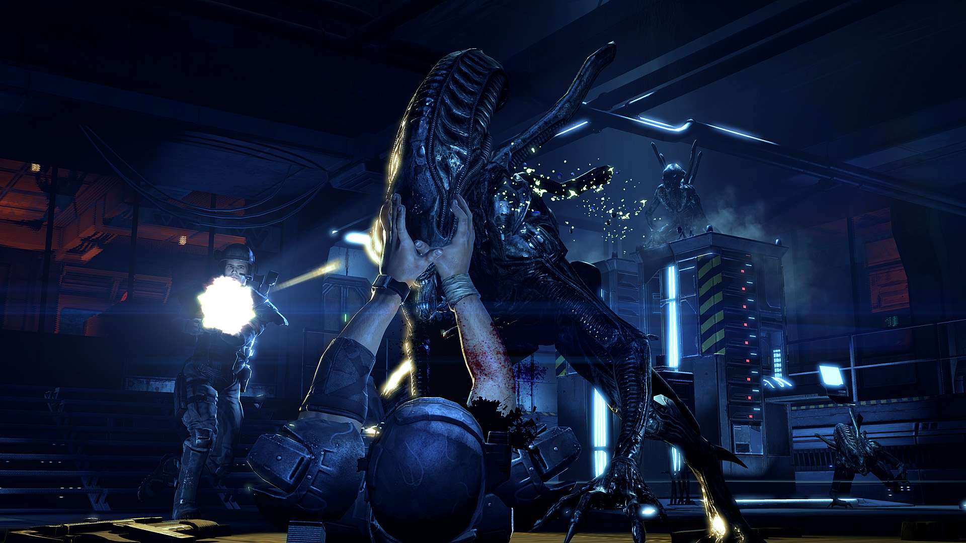 Aliens: Colonial Marines вся информация об игре, читы, дата выхода,  системные требования, купить игру Aliens: Colonial Marines