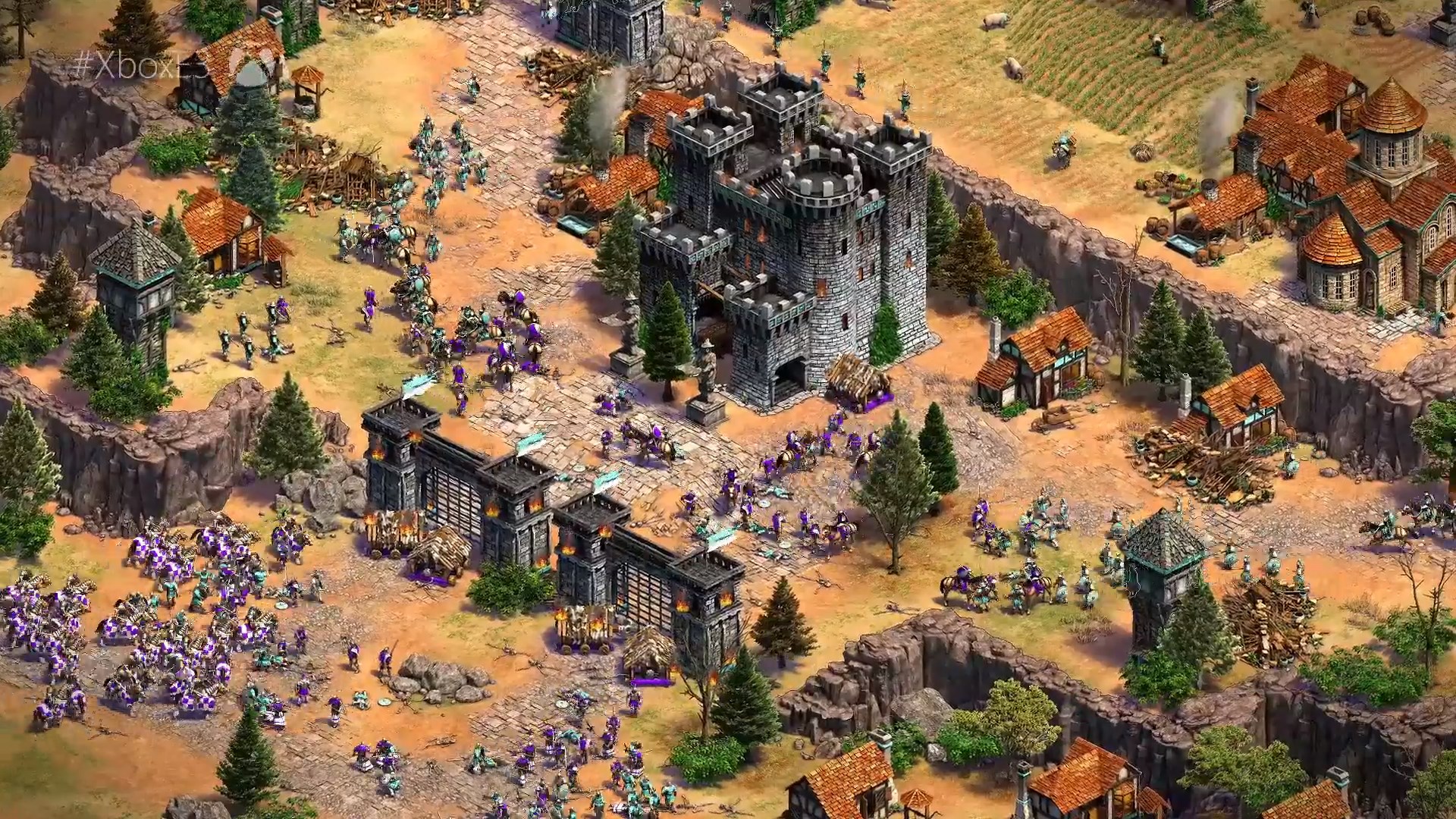 Age of empires 2 играть стим фото 25