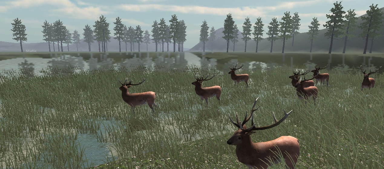 Hunt 3d. Forest Hunt 3. Аоа3 охота. Hunting 3. The Hunt in the Forest.